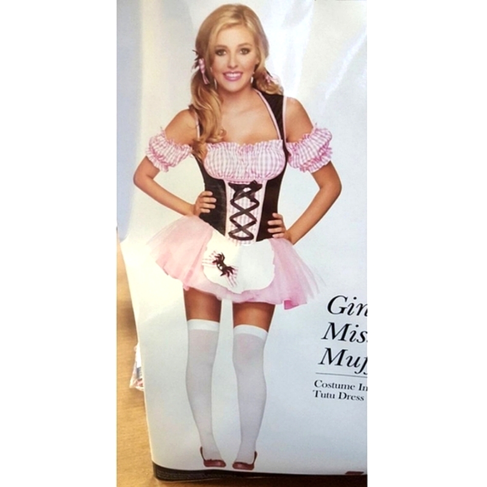 S/M LIL MISS MUFFET LEG AVENUE PINK GINGHAM PLAID DRESS HALLOWEEN COSTUME - Picture 2 of 14